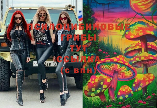 амфетамин Алексеевка